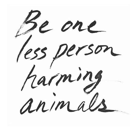 cruelty-free quote cruelty-free quote